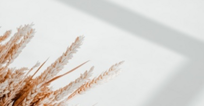 Lymphedema Management & Post-Surgical Massage Therapy