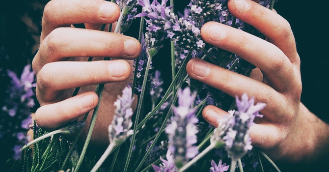 Deep Tissue Massage Therapy